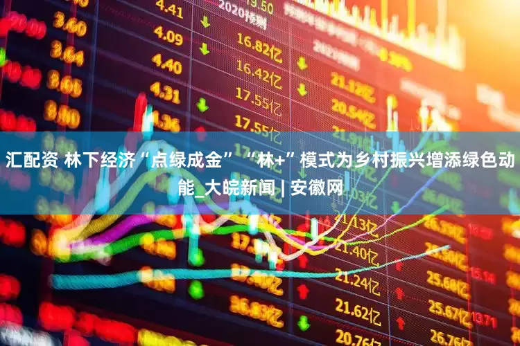 汇配资 林下经济“点绿成金” “林+”模式为乡村振兴增添绿色动能_大皖新闻 | 安徽网