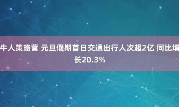 牛人策略营 元旦假期首日交通出行人次超2亿 同比增长20.3%