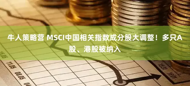 牛人策略营 MSCI中国相关指数成分股大调整！多只A股、港股被纳入