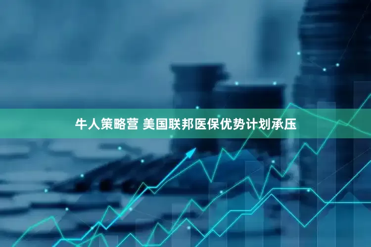 牛人策略营 美国联邦医保优势计划承压