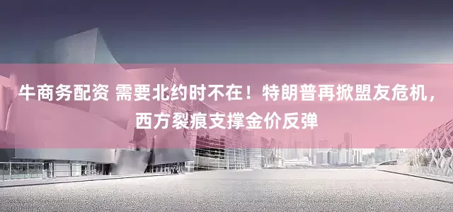 牛商务配资 需要北约时不在!特朗普再掀盟友危机,西方裂痕支撑金价反弹